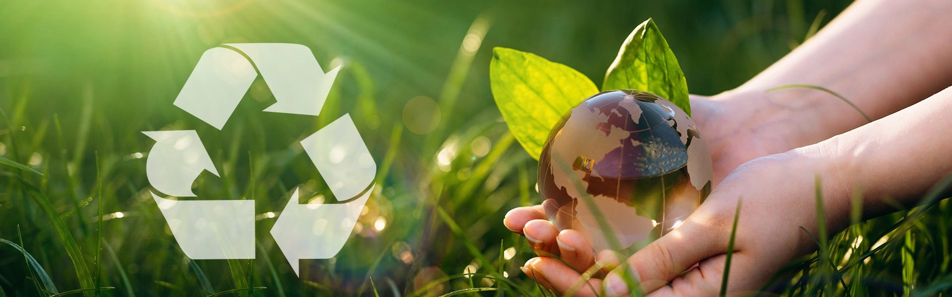 Globeテープ R-PETエコ包装テープ製品画像